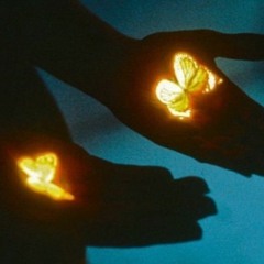 FIREFLIES w/Zexy