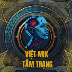VIỆT MIX - TÂM TRẠNG 2K25 ( DJ MKUN ).mp3