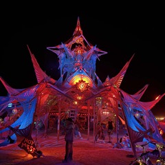 Lightning In the Bottle (LIB Camp Set)