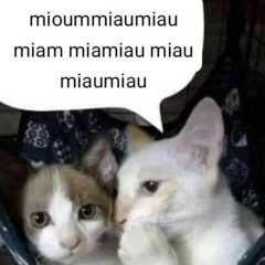 sunendinghh