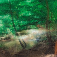 Jungle (Prod. BrokeBoi)