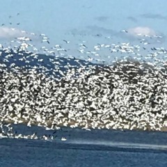 & Everything Becomes Brighter