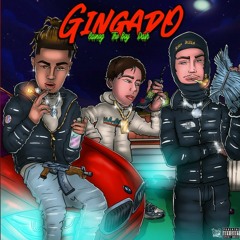 Gingado | casnog, DASH011, The Boy