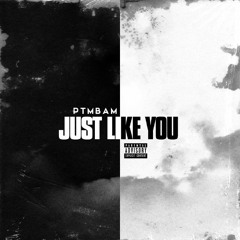 Just Like You