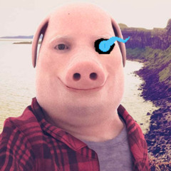 [A John Pork Megalovania] - Megalohio (Original)