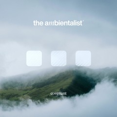 The Ambientalist - Covenant
