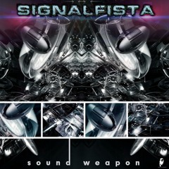 Sound Weapon (Original Mix)