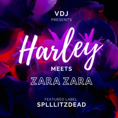 VDJ Harley Meets Zara Zara