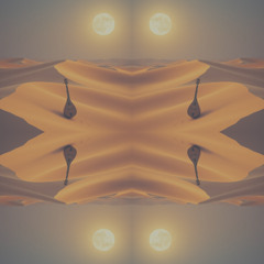 Desert Whispers