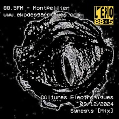 Cultures Electroniques: Synesis [09/12/2024]