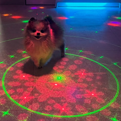 ★ the vibe i bring to the function ★