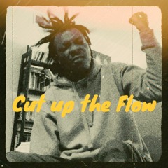 Cut Up The Flow