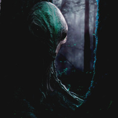 Their heads changed shape in the moonlight