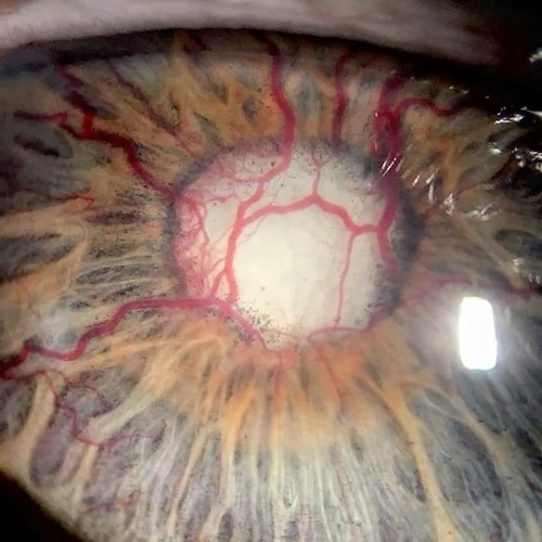 its not perfect all the time prod me #cherub