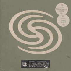 Scientists Of Sound (Gabss Remix) [feat. Luciana Villanova]