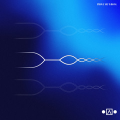 Prove Me Wrong (Instrumental)