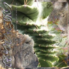 Tentacity 10/21 by Ida Elastic [Champeta Special]