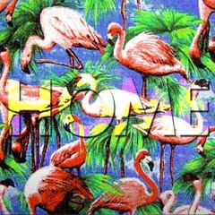 Home - Sayyet