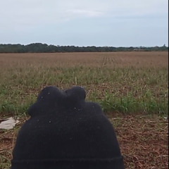 @STASHXX - o fabricio.. (DISS)