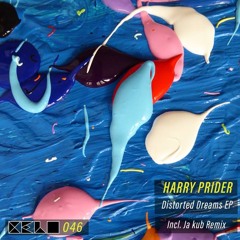 Premiere : Harry Prider - Another Path (CELO046)