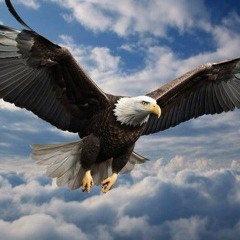 Philadelphia Eagles R2 HoTT