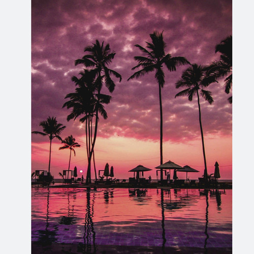 محمد الشحي - إحساس بارد (حصريآ) | 2019