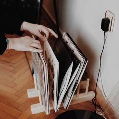 The Vinyl Girl