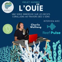 Projet INSPIRED : Episode 2 L'ouïe