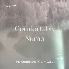 Comfortably Numb (Lemonbrew & Kate Stanton)