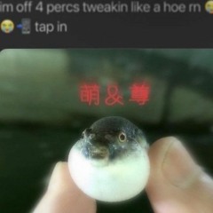 GCE Listening Comprehension Examination (VERY HARD)