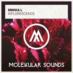 Miikka L - Inflorescence