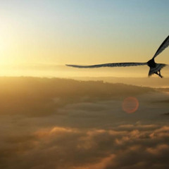 Áchim György & Jim Boo - Never stop