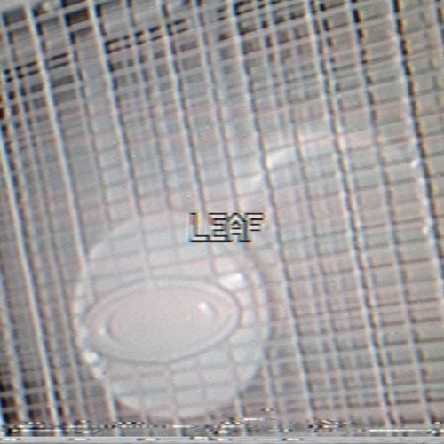 ʟᴇᴀғ | ᴘʀᴏᴅ. ʟᴜᴄɪᴅ ʟᴀɴᴛᴇʀɴ