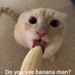 Do you want a banana?