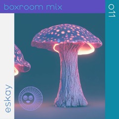 eskay - Boxroom Mix 011