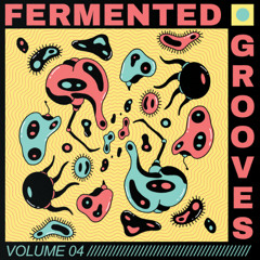 PREMIERE – Josh Ludlow – Vikram (Edit) (Stereo Ferment)