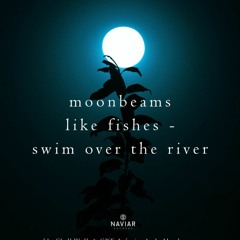 Boson Spin - Moonbeams swim over the river [naviarhaiku385]