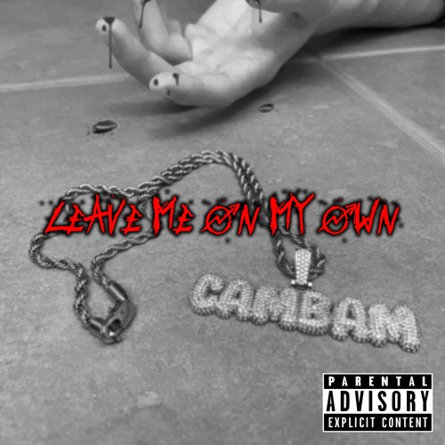 text to cambam
