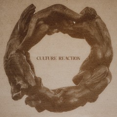 Fsauto - Culture Reaction