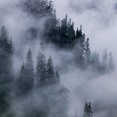 makkgin x boolymon type beat