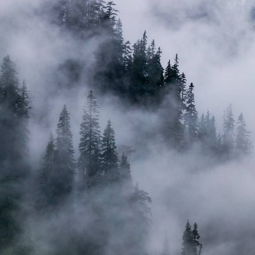 makkgin x boolymon type beat