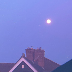 Moonlight Sessions