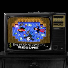 Expensive Gypsies - Resume