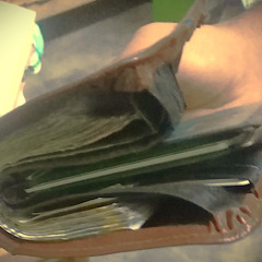 primera vida With Fog Lake