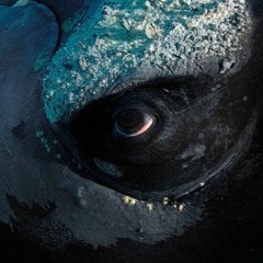 Uncontaminated (Original mix)