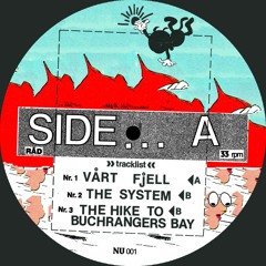 The System (Produced + Mixed)