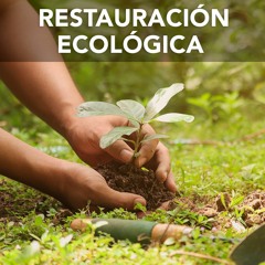 Restauración ecológica | Desafíos RCN-Javeriana