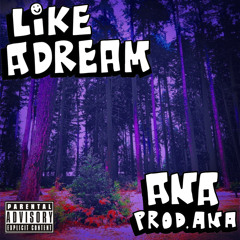 like a dream (prod. iamagrav3yard)