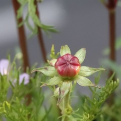 On Ne Sait Rien De La Seconde Qui Vient