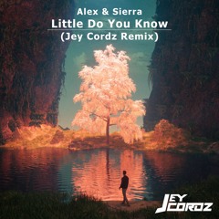Alex & Sierra - Little Do You Know (Jey Cordz Remix)